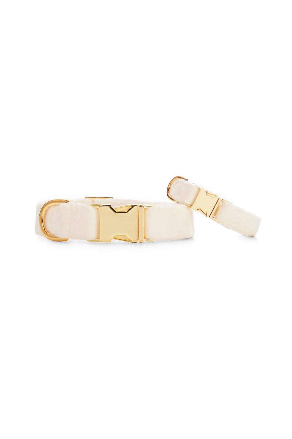Ivory & Gold Velvet Dog Collar - Giftware - The Foggy Dog