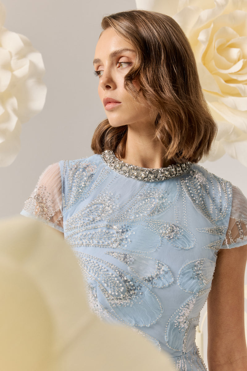 Elliatt Anabelle cap sleeve gown, elegant dress with flowing fabric and detailed design, suitable for formal occasions.