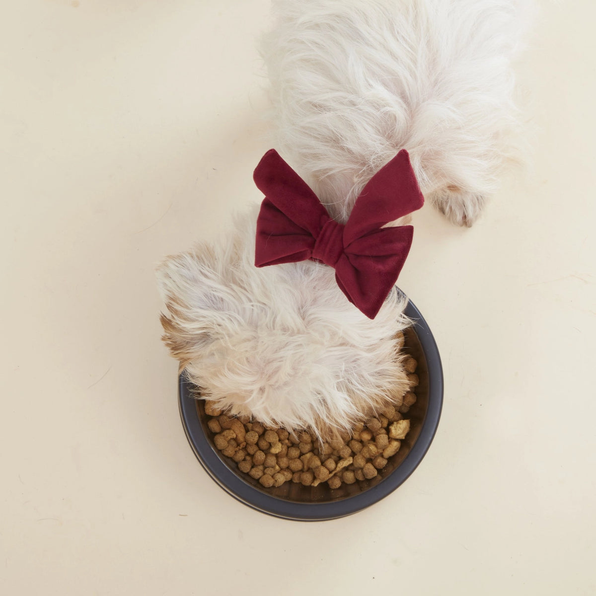 Burgundy Velvet Dog Bow - Giftware - The Foggy Dog