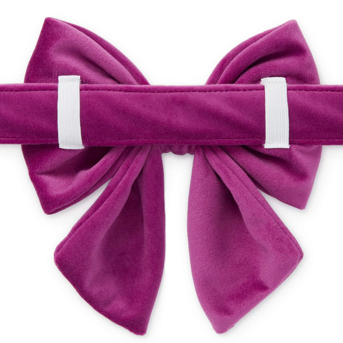 Plum Velvet Dog Bow - Giftware - The Foggy Dog