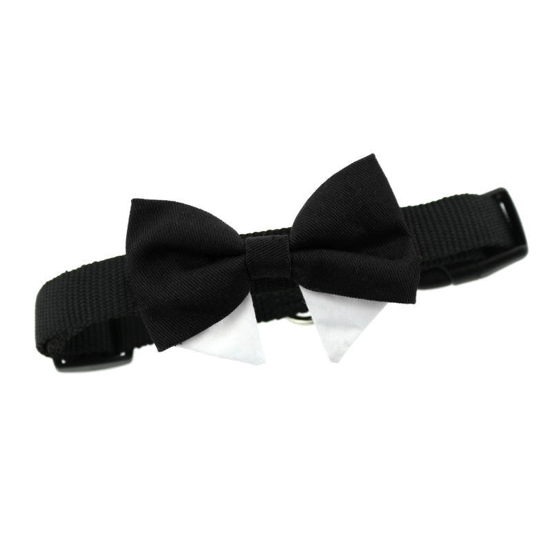 Formal Dog Bow Tie with Black Collar - Giftware - Doggie Design